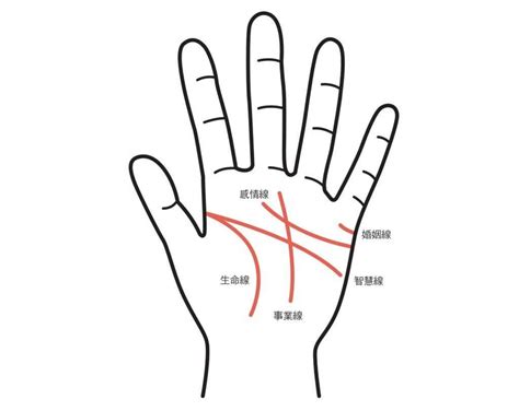 生命線旁邊多一條|手相怎麼看？感情線、智慧線、生命線在哪裡？長度、。